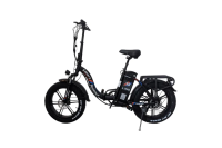 Электровелосипед SmartBalance Panda 20 черный