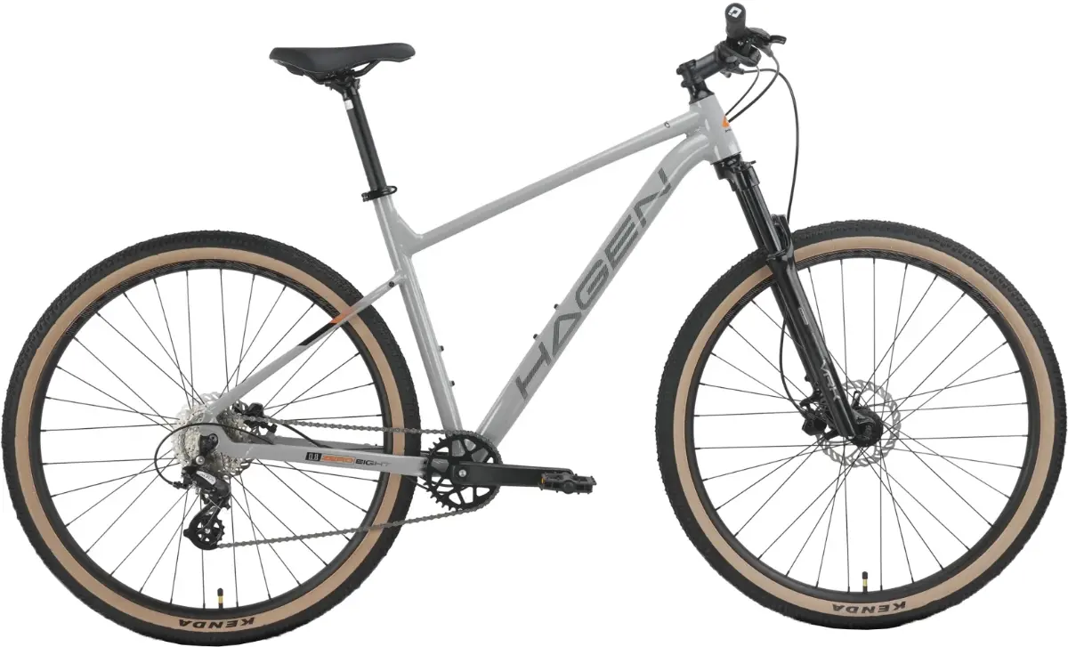 Велосипед Hagen Zero 8 29 L серый глянец