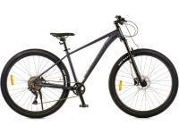 Велосипед FAVORIT RANGER 29 17 серый