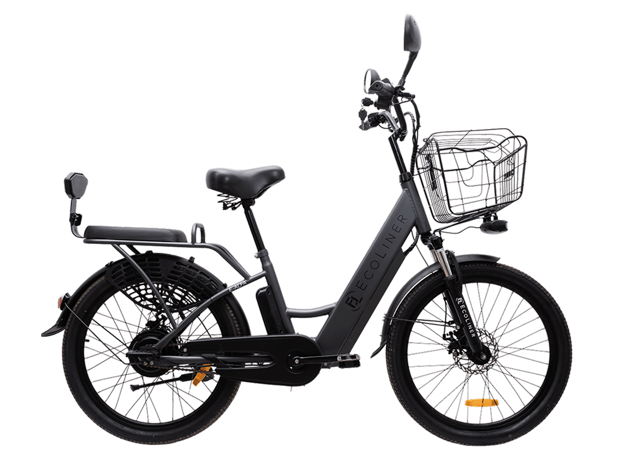 Электровелосипед EcoLiner E-ALFA 24 черный