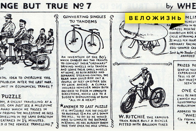 Фэтбайк – велосипед, не зависящий от времени года